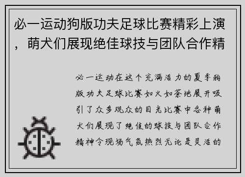 必一运动狗版功夫足球比赛精彩上演，萌犬们展现绝佳球技与团队合作精神